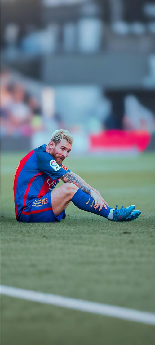 津媒：津门虎今日重新集结，11月14日将与国安进行一场热身赛